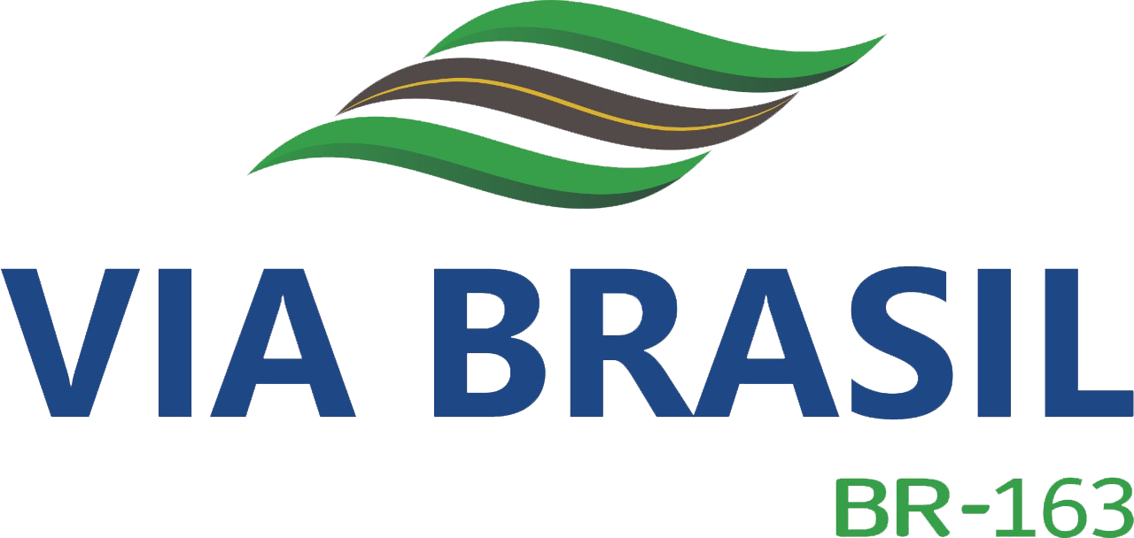 Via Brasil BR-163
